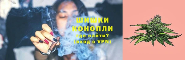 молекула духа Переславль-Залесский