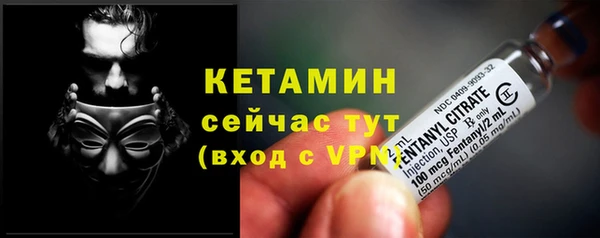 хмурый Дмитров