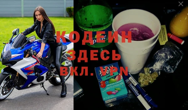 молекула духа Переславль-Залесский