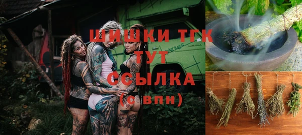 молекула духа Переславль-Залесский