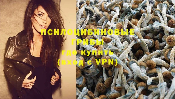 кокс Пестово