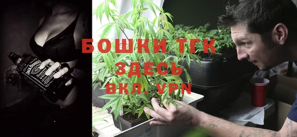 молекула духа Переславль-Залесский