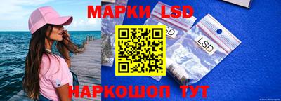 индика Абакан