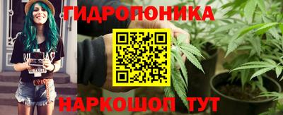 индика Абакан