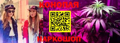 ECSTASY Гатчина
