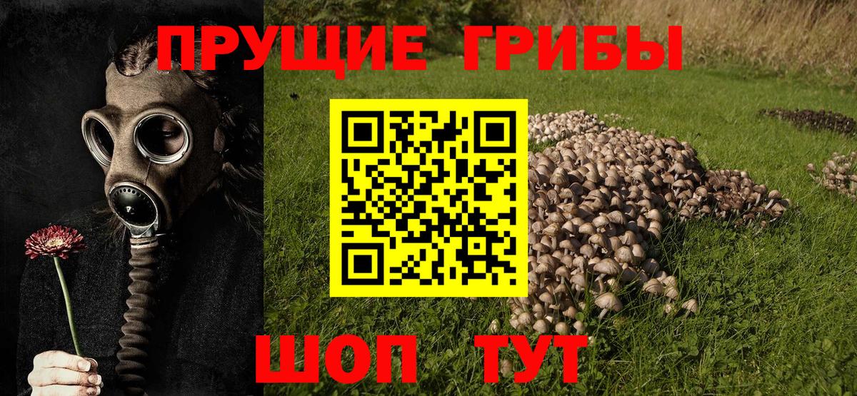 Галлюциногенные грибы ЛСД Абинск