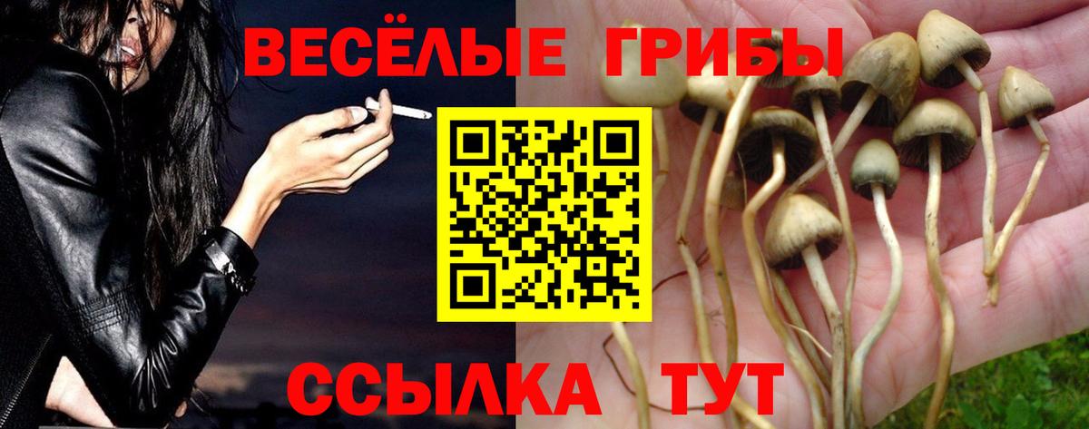 Галлюциногенные грибы прущие грибы  Галлюциногенные грибы Magic Shrooms  Абинск 