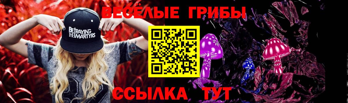 Абинск  Галлюциногенные грибы прущие грибы  Вход с VPN 