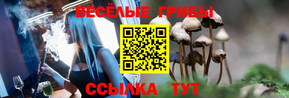 Галлюциногенные грибы Cubensis  Вход с VPN  Абинск 