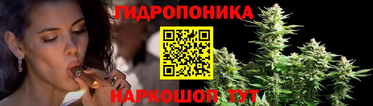 Каннабис семена  Конопля план  Бошки Шишки SATIVA & INDICA  Абинск 